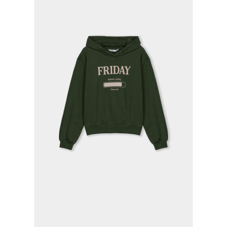 Sudadera Capucha Estampado C/ Relieve Verde TIFFOSI  10041404 INV.21/22