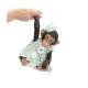 LOLA LA CHIMPANCÉ CONJ.FLORES ASÍ