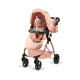 SILLA GRANDE DE PASEO PATRICIA ASÍ